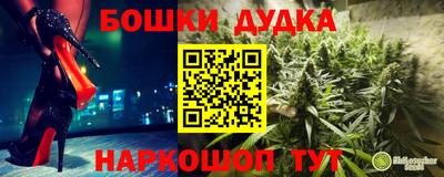 Альфа ПВП Моздок