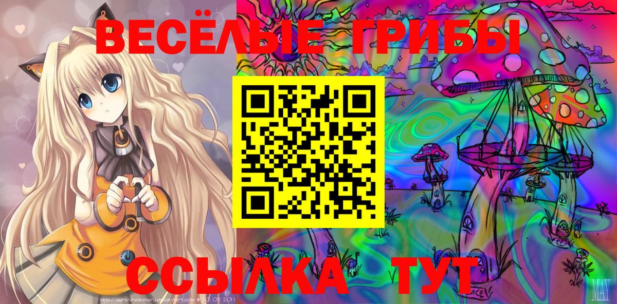 Псилоцибиновые грибы мицелий  Вход с VPN  Галлюциногенные грибы мицелий  где купить наркотик  Будённовск 