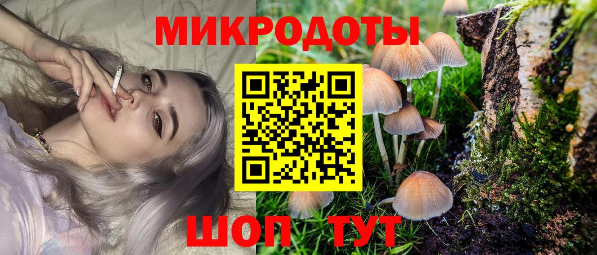 Псилоцибиновые грибы MAGIC MUSHROOMS Будённовск